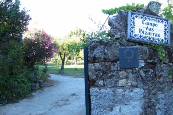 Casa Campo Das Bizarras Castro Daire Luaran gambar
