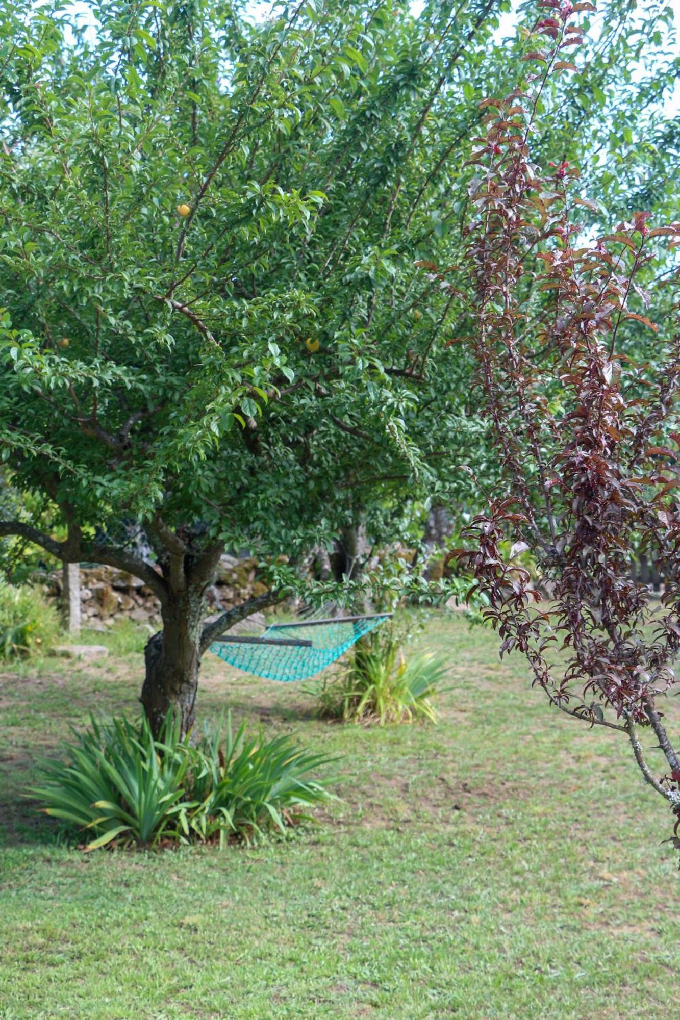 Casa Campo Das Bizarras Castro Daire Luaran gambar